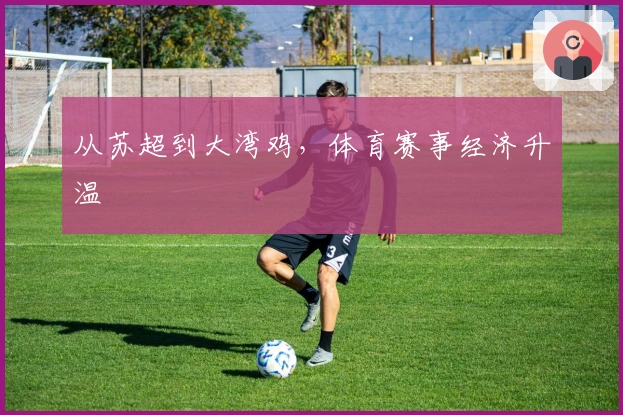 从苏超到大湾鸡，体育赛事经济升温
