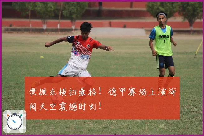 樊振东横扫豪格！德甲赛场上演海阔天空震撼时刻！