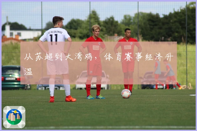 从苏超到大湾鸡，体育赛事经济升温